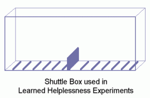 shuttlebox