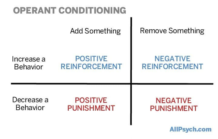 Reinforcement And Punishment In Psychology 101 At Allpsych Online | Allpsych