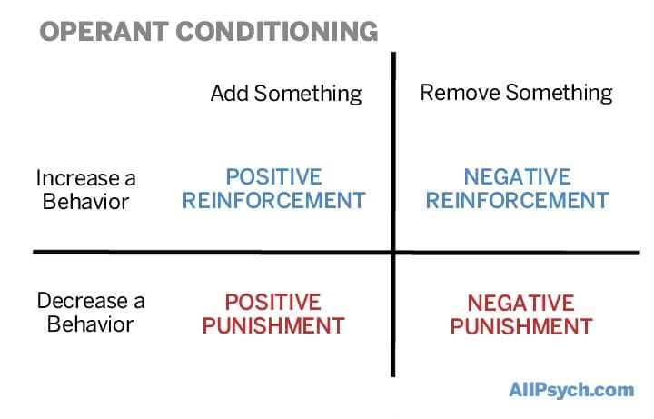 positive negative reinforcement punishment